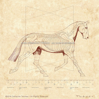 equine print by C. Twomey