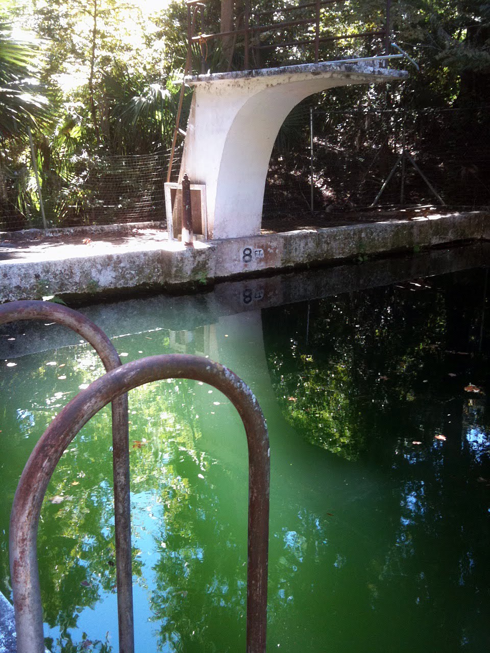 Old Florida Gainesville's Glen Springs