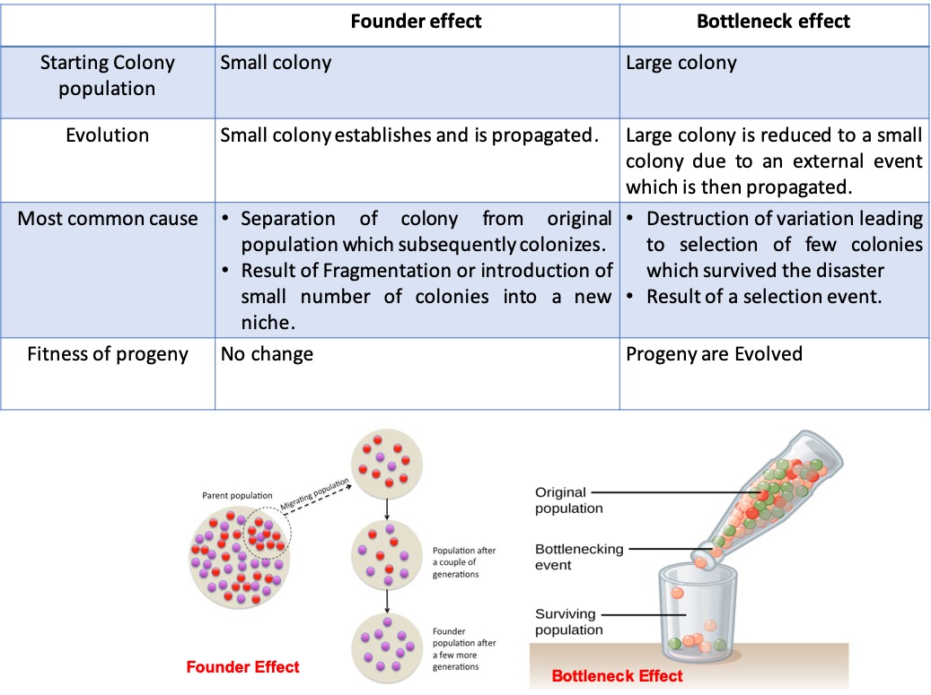 SARS CoV 2 Is it evolving & how many Subtypes?