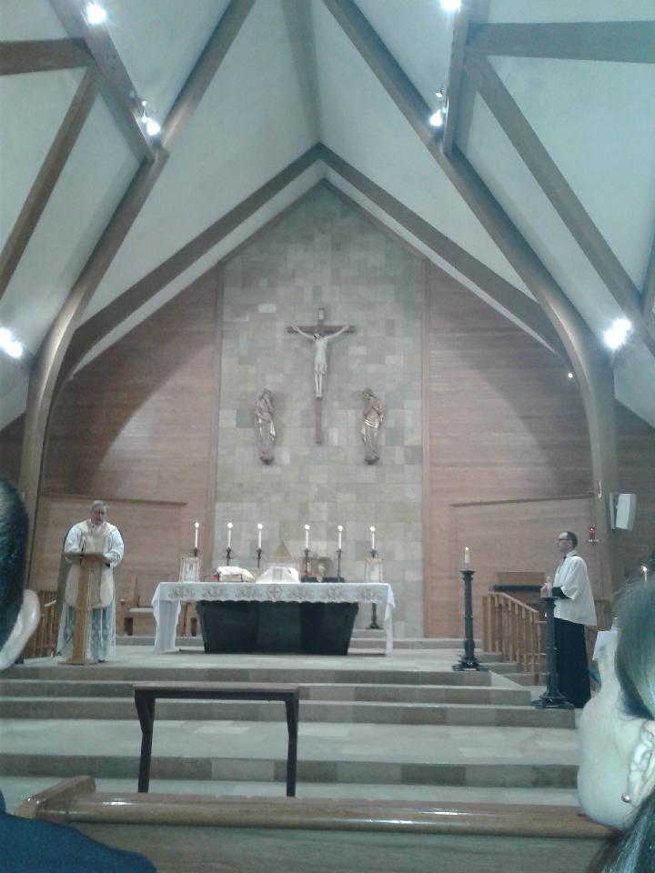 The Brothers of the Little Oratory in San Diego: Images from Mass for ...