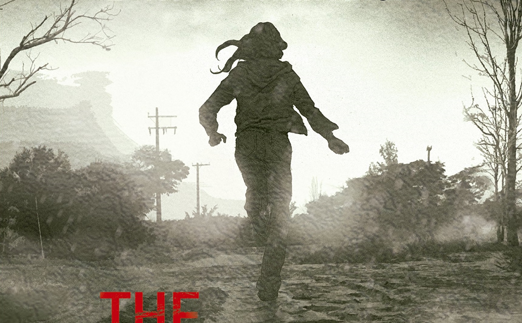 Resenha The Walking Dead O Caminho