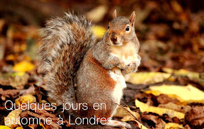 http://cherryvegzombie.blogspot.fr/2014/11/quelques-jours-en-automne-londres_24.html
