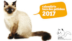 Calendários Toca dos Gatinhos 2017