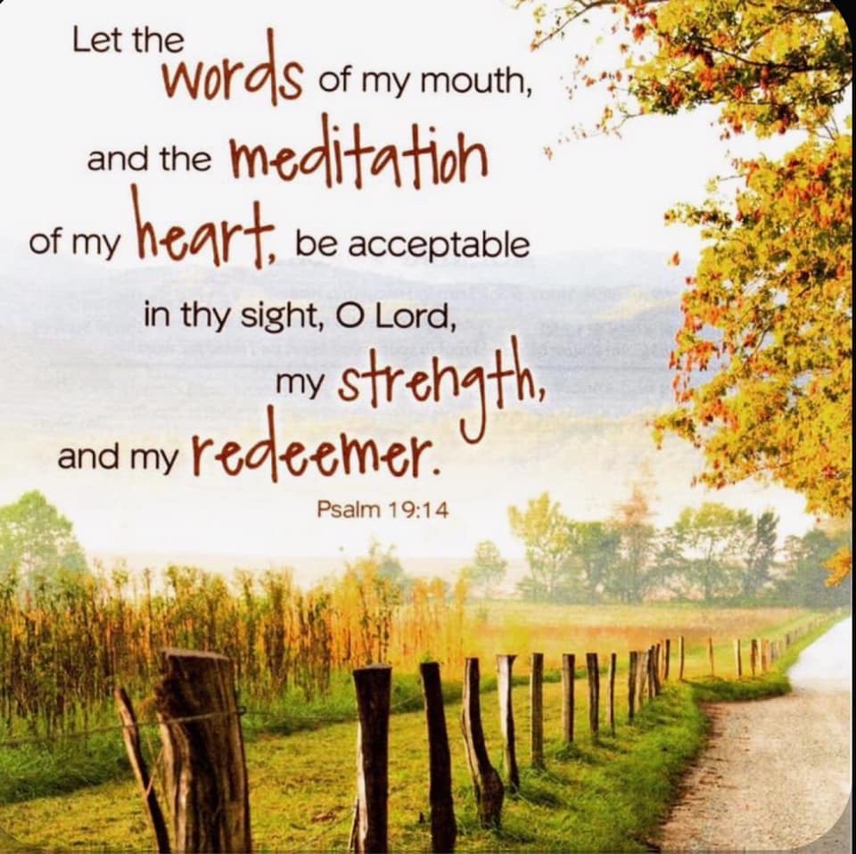 brynwood-needleworks-sunday-scripture