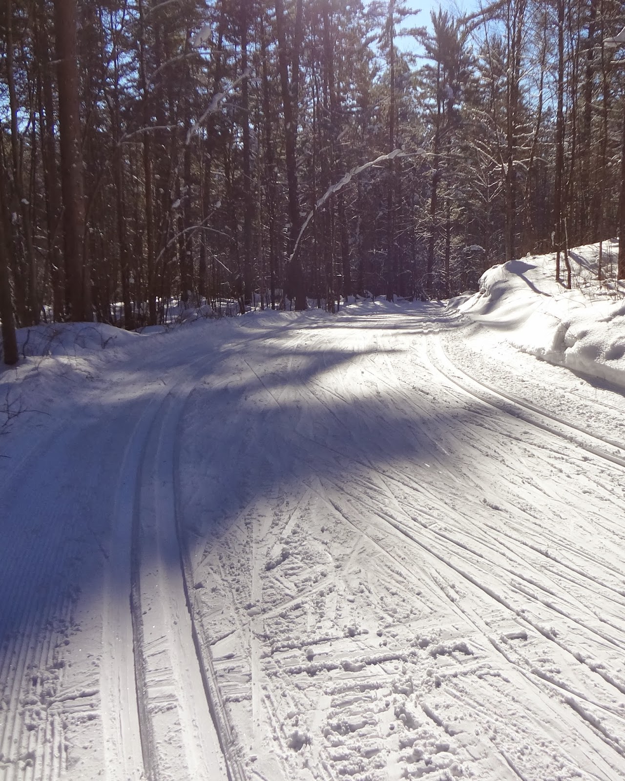 columbia birkie trail