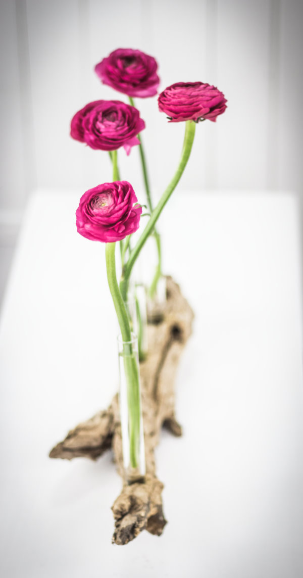 DIY Treibholz-Vase mit Frühlingsblumen