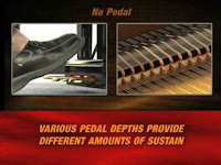 Williams Symphony Grand ll No half-damper sustain