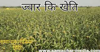 www.samachar-media.com