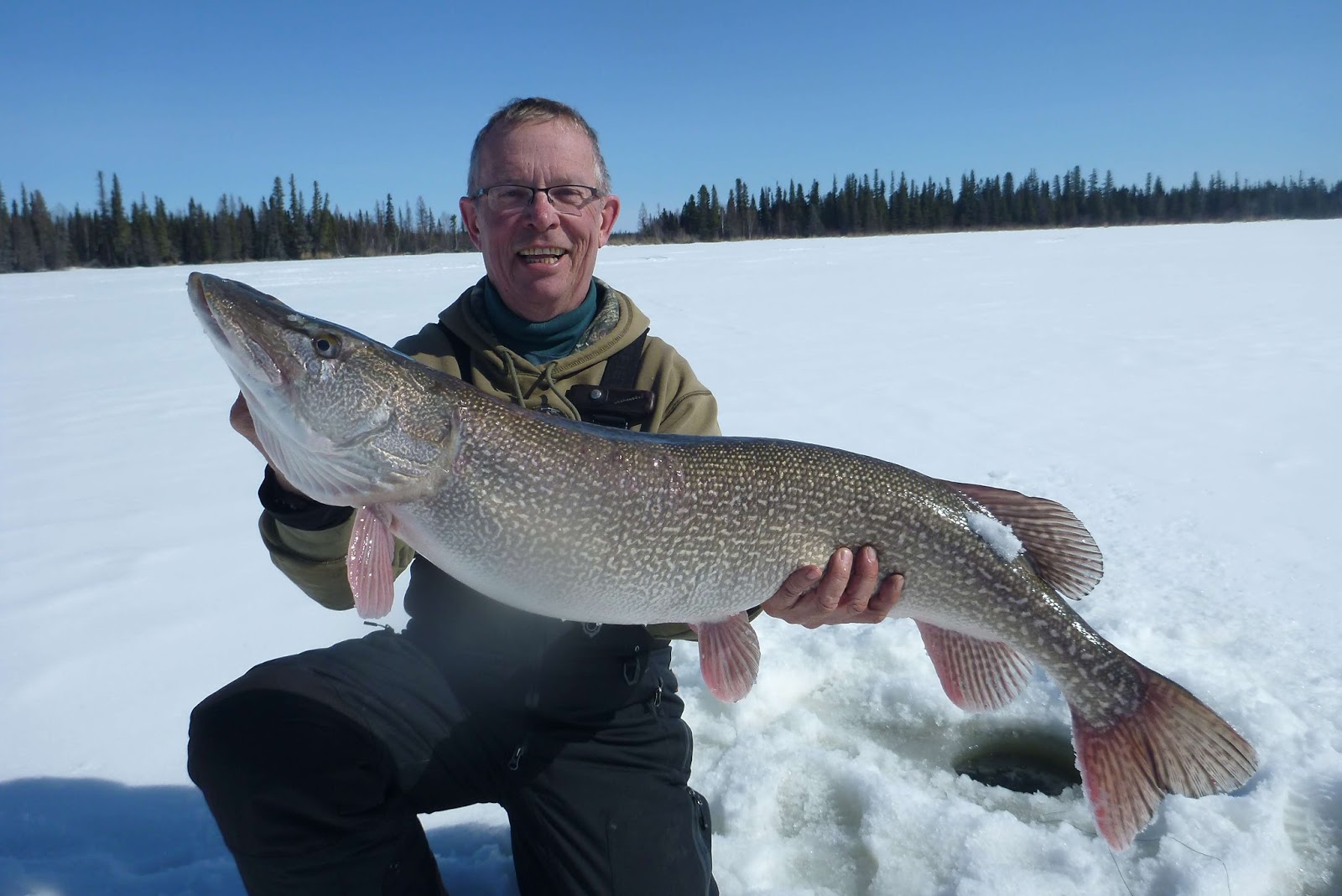 Manitoba Fish Species on the Fly Fishing on the ice