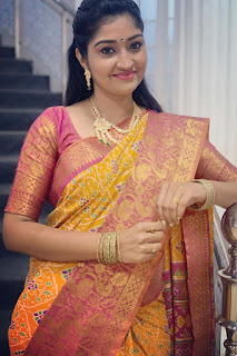 Serial Actress Neelima rani latest beautiful saree photoshoot