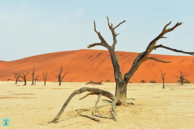 Desierto del Namib en Namibia