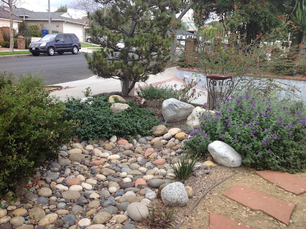 dry river bed landscaping ideas