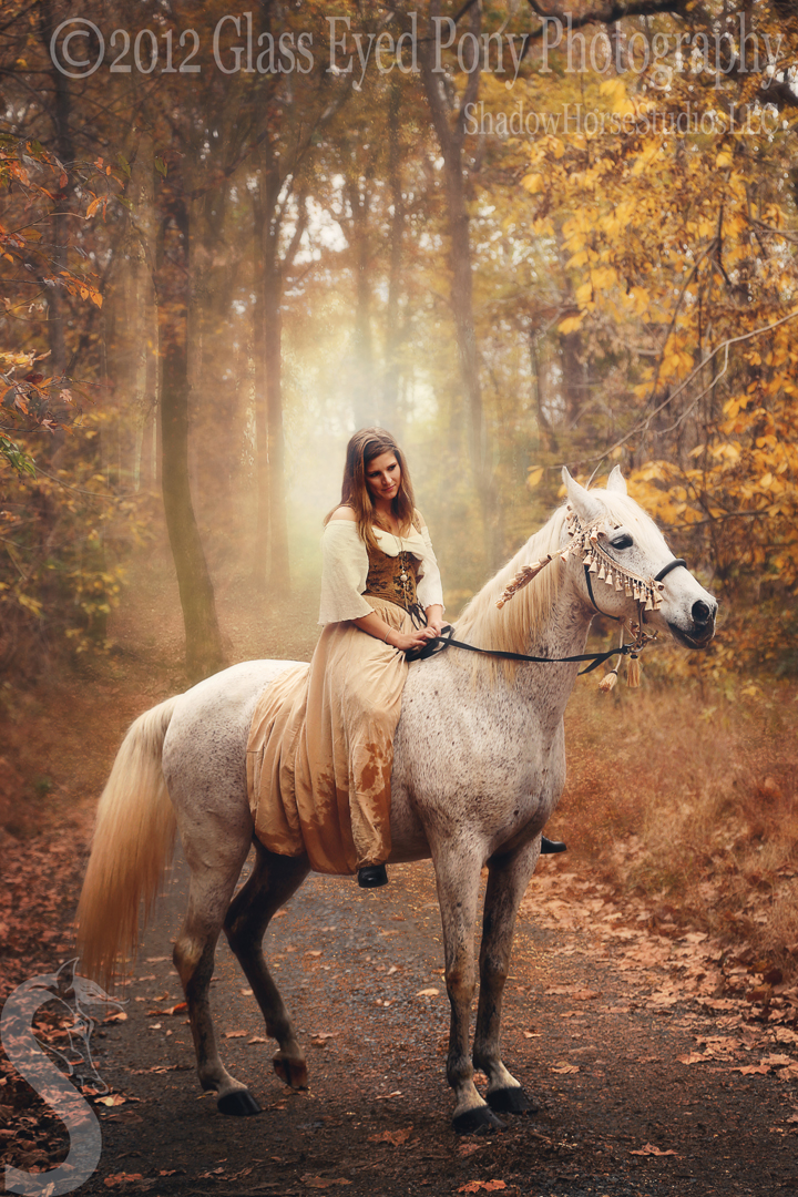 Picture Trails; The Shadow Horse Studios Blog Medieval Maiden