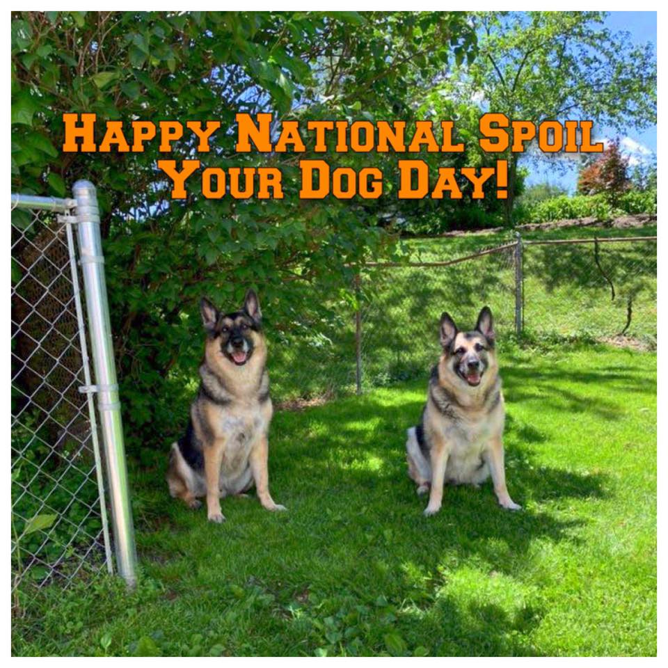 National Spoil Your Dog Day National Spoil Your Dog Day