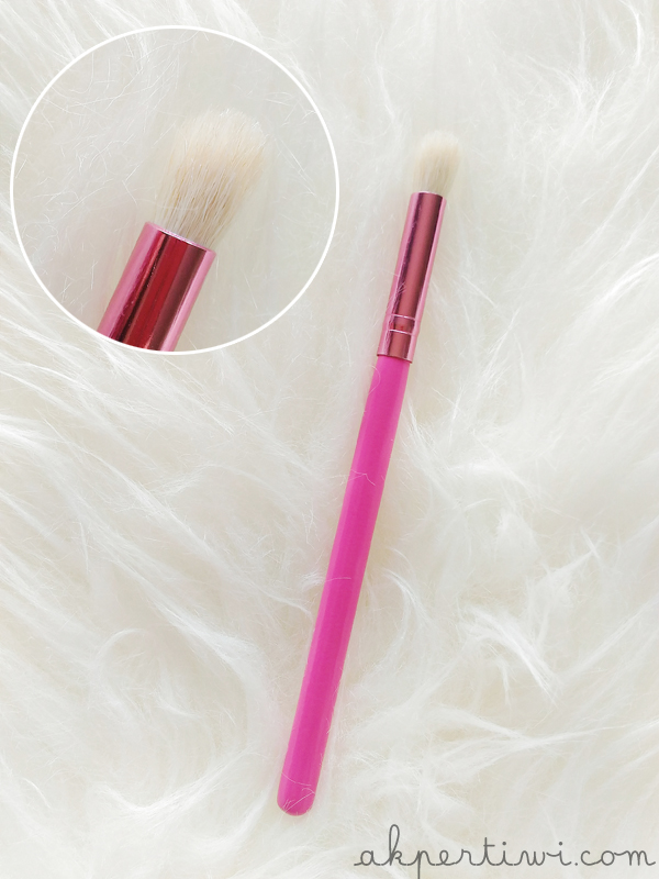 [REVIEW] Zoya Cosmetics 12pcs Brush Set Akpertiwi's Beauty Blog