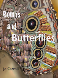 Bombs and Butterflies