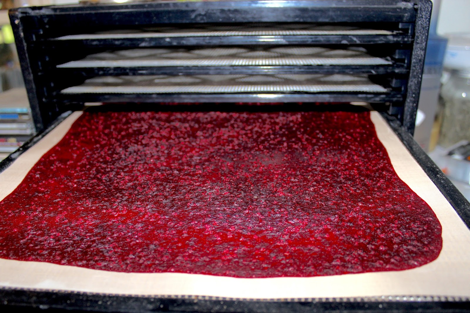 Simple and Easy Blackberry Fruit Leather