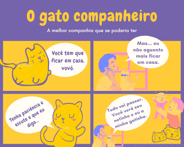 O gato companheiro