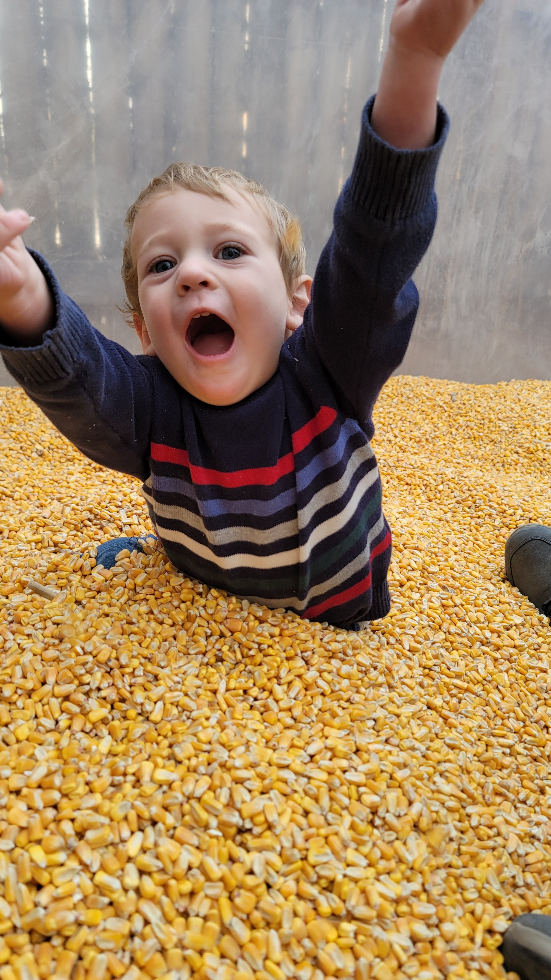 All About Seth Fall Festival