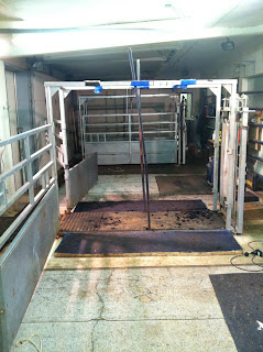 DIAMOND G CATTLE CO.: Express Ranches