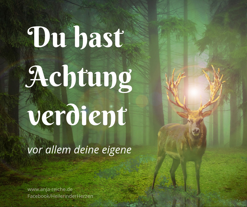 Anja Reiche Du hast Achtung verdient