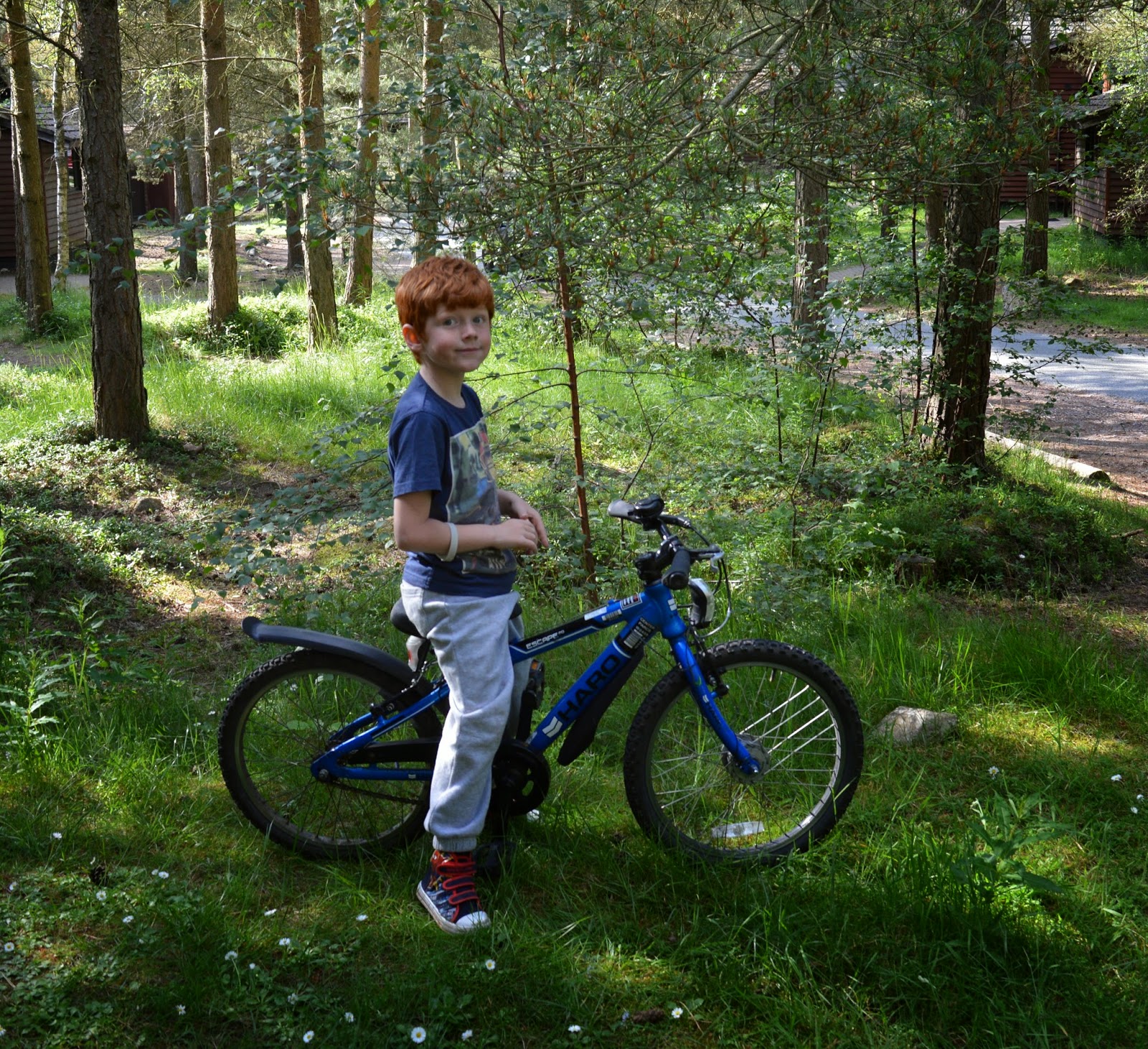 Choosing the Best Center Parcs Holiday in the Netherlands North East