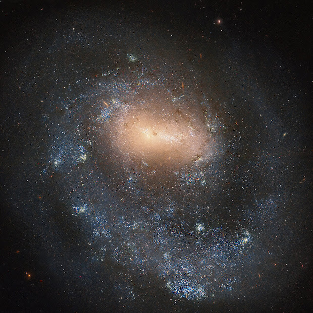 Single Arm Barred Spiral Galaxy NGC 4618