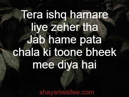 ishq 2 line shayari in hindi