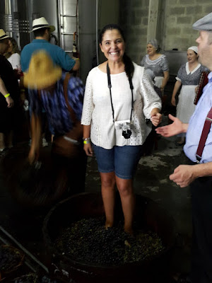 Vinícola Cainelli em Bento Gonçalves: uma vinícola para famílias na Serra Gaúcha Vinícola Cainelli em Bento Gonçalves: uma vinícola para famílias na Serra Gaúcha