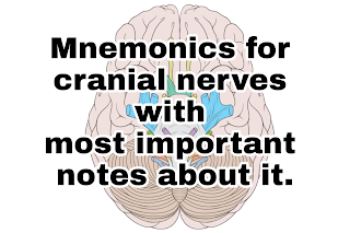 Mnemonics for cranial nerves, mnemonics for the nature of cranial nerves, twelve pairs of cranial nerves, facts about cranial nerves, agrivetforestry, last hour revision for entrance preparation on cranial nerves and human brain, what are cranial nerves, types of cranial nerves, 