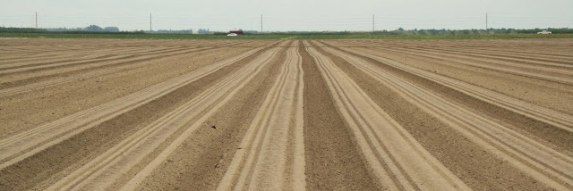 Campos de cultivo Jefferson Aleman