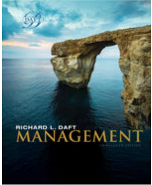 Instructor Manual Management Daft 11th