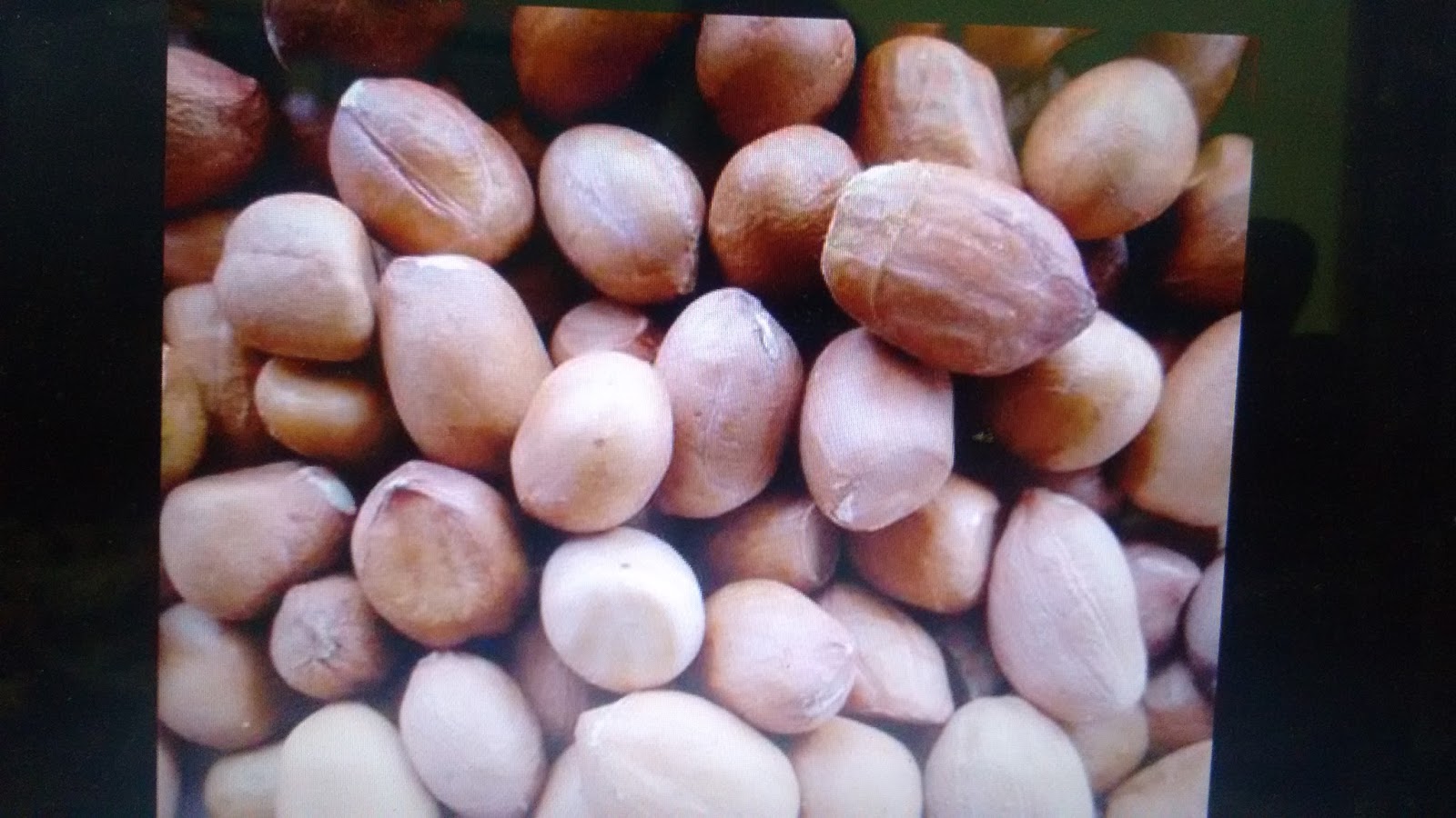MaraChekku machine groundnut seeds price groundnut seeds buyers groundnut suppliers in Tamilnadu