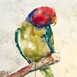 Paint Colorful Birds