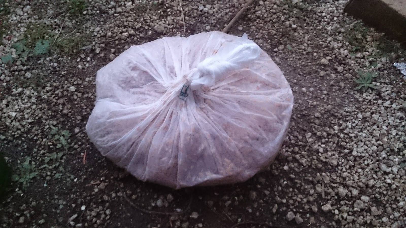 揚げ物後の廃油を使って 肥料 いや堆肥に使う Kitchengarden