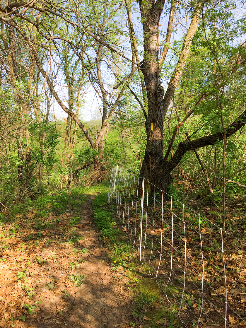 beware the electric fence on the Merrimac Segment of the Ice Age Trail