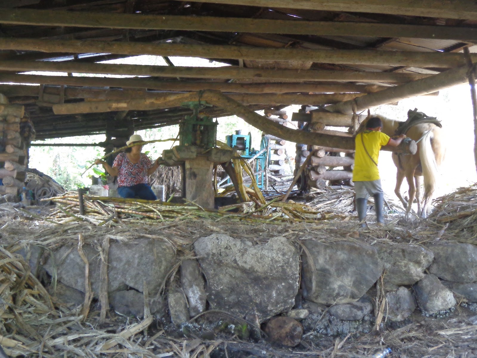 Panela Granulada: Endulzante Natural - Mujer Vive sin Límites