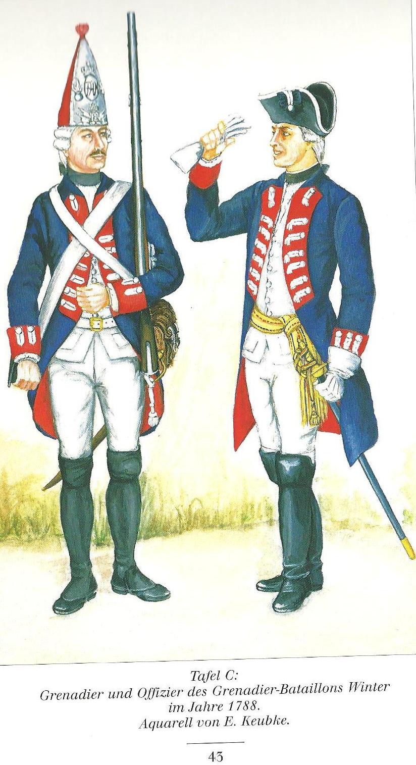 ÇA IRA German auxiliary troops in Dutch pay 1 MecklenburgSchwerin