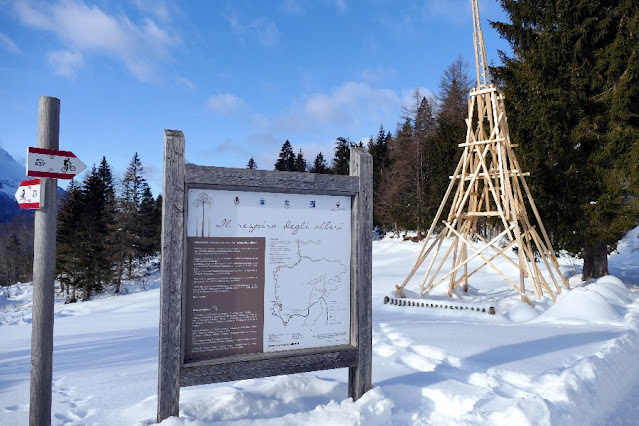 il respiro degli alberi