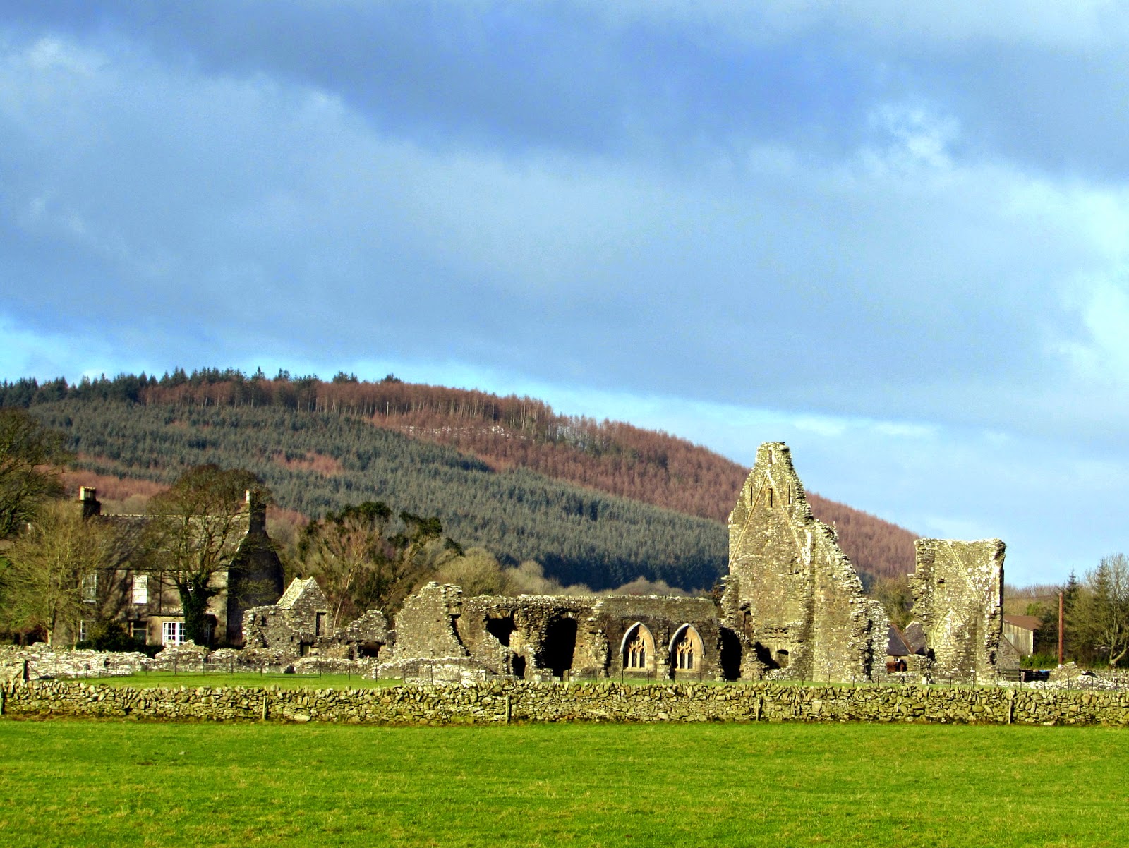The Glebe Blog Wigtownshire RamblersSt Helena IslandGlenluce Abbey January 2015