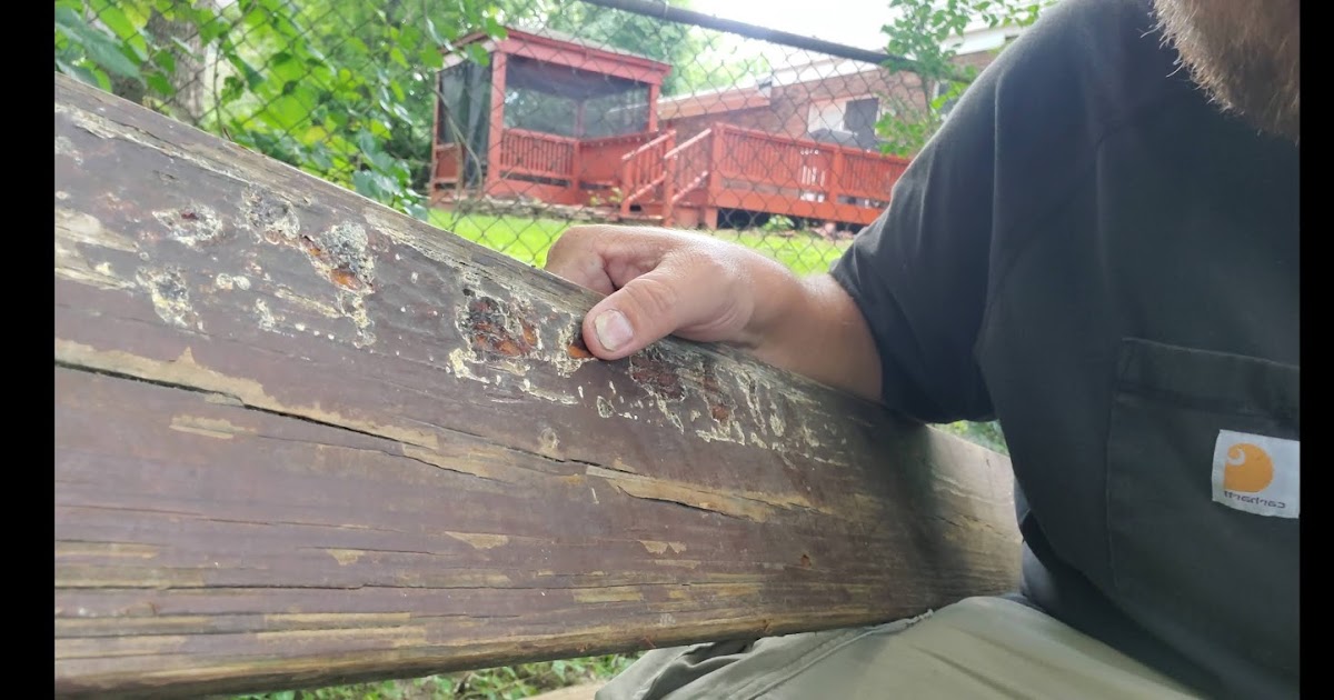 Do your Deck boards have sap or goo oozing out of them