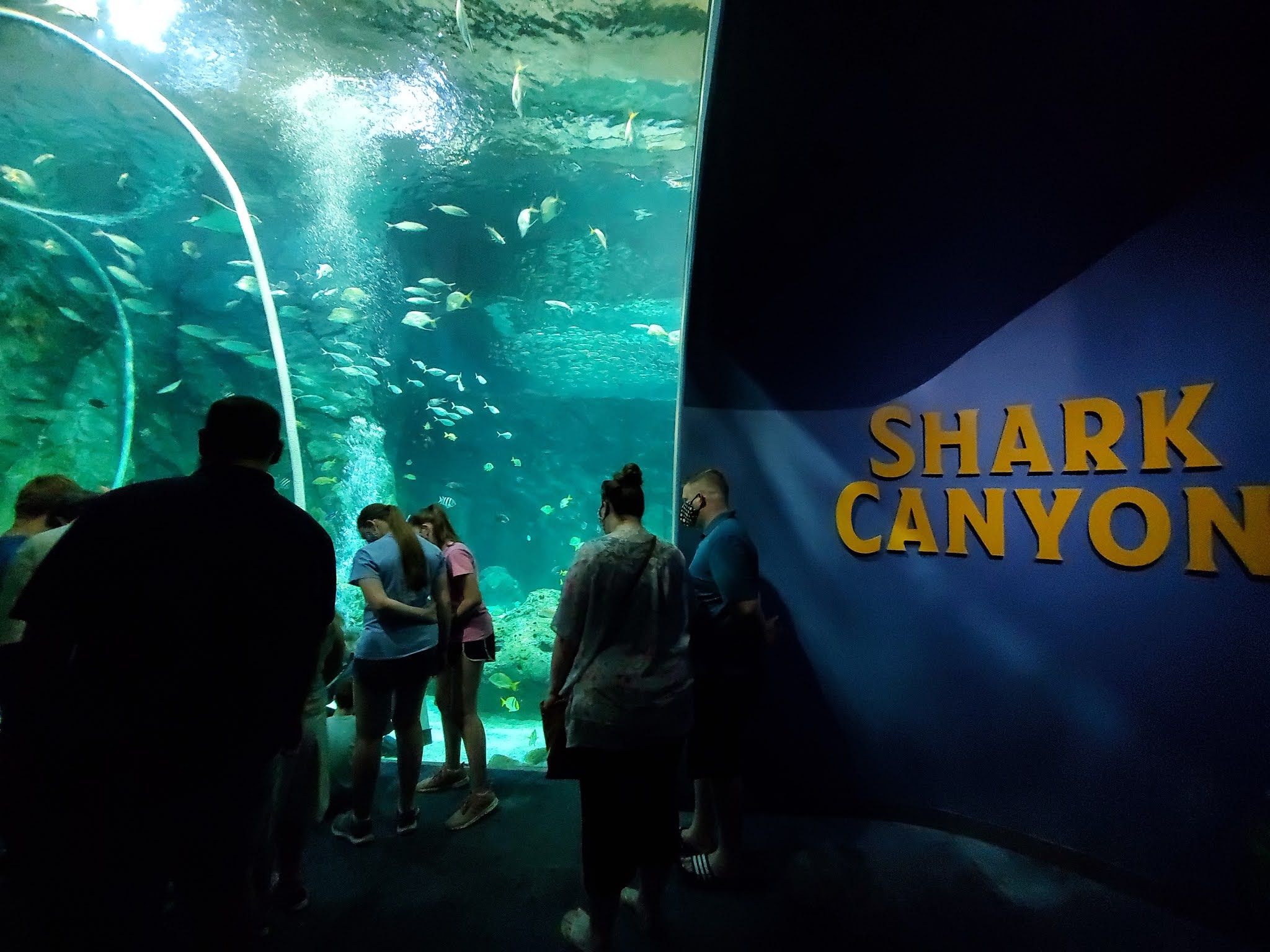 Play St. Louis The St. Louis Aquarium at Union Station, St. Louis City