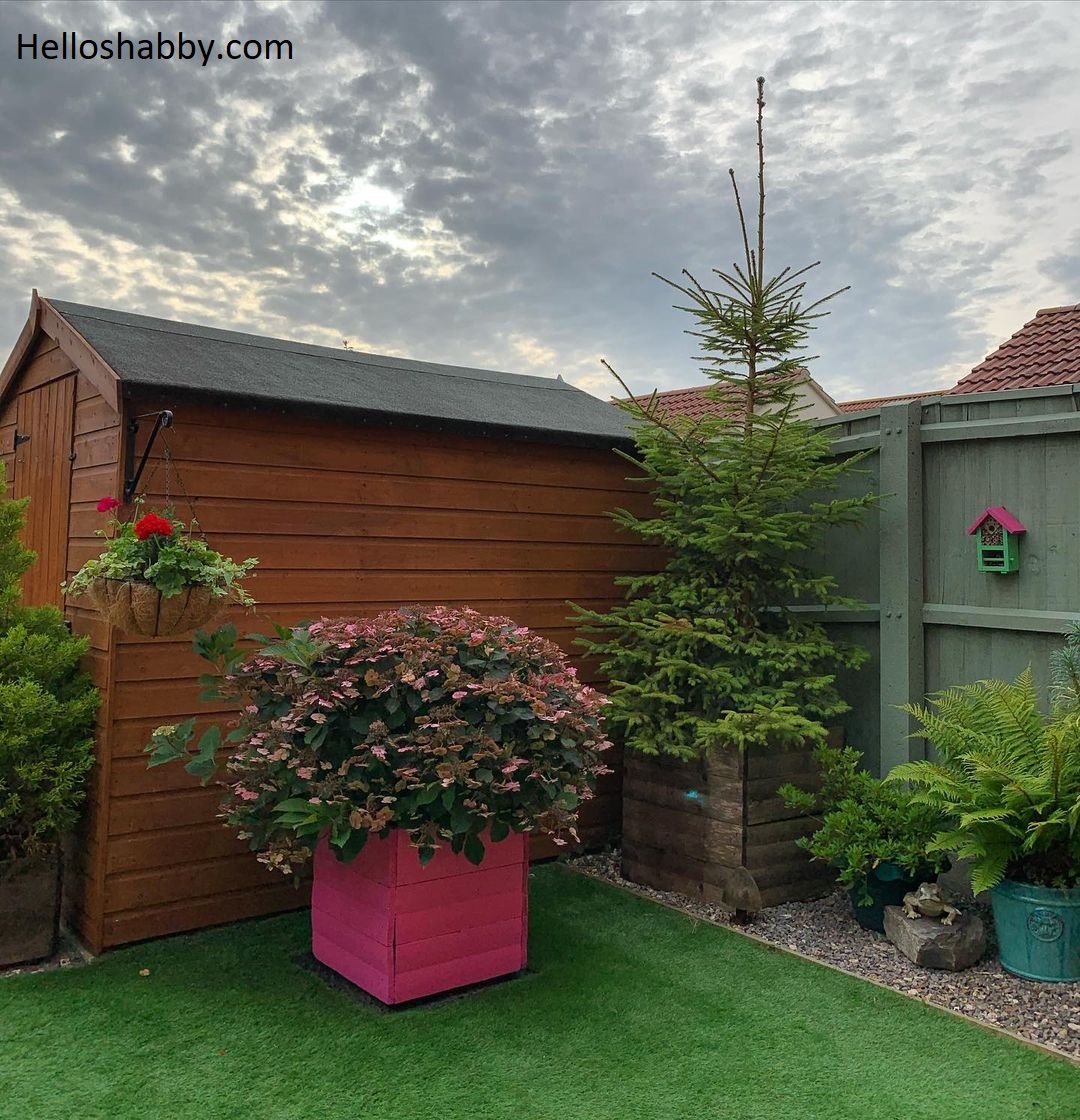 7 Small Corner Garden Ideas On Budget interior and