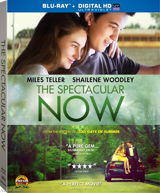movies similar to the spectacular now movies similar to the spectacular now