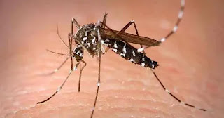 First case of Zika virus in Kerala