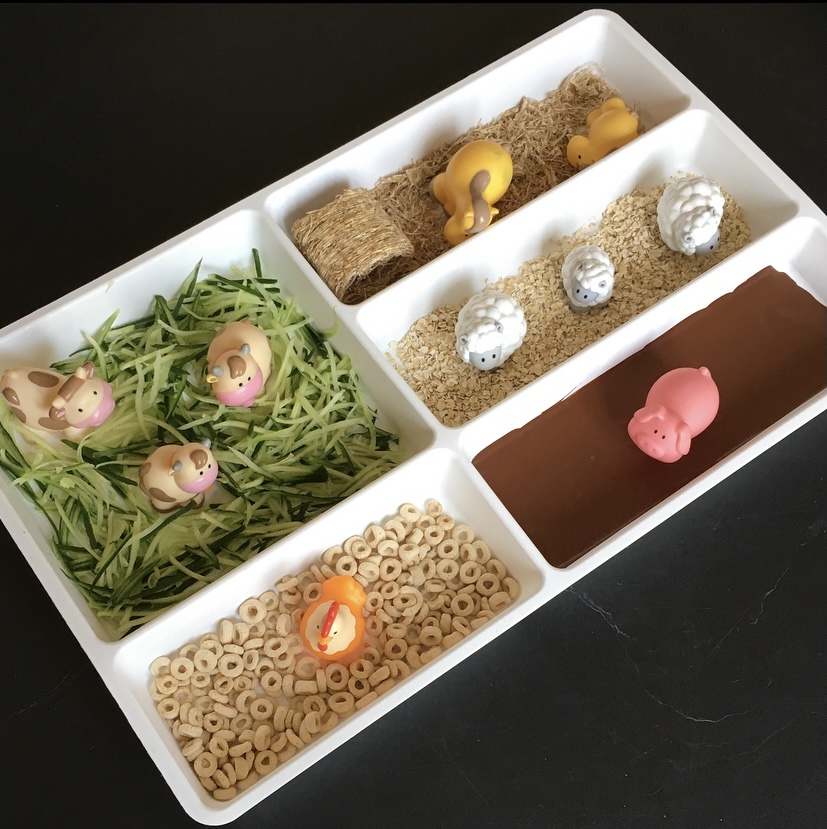 Edible Farm Sensory Play All About Kids