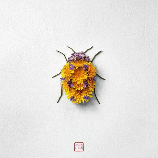 Raku Inoue reikan_creations arte instagram fotografia insetos feitos de flores plantas