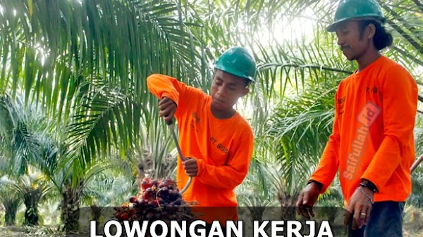 Lowongan Kerja Tenaga Borongan Perawatan PT. Kalimantan Agro Nusantara Kaltim