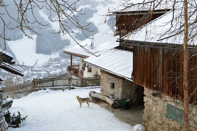 escursioni invernali ciaspole plan de corones