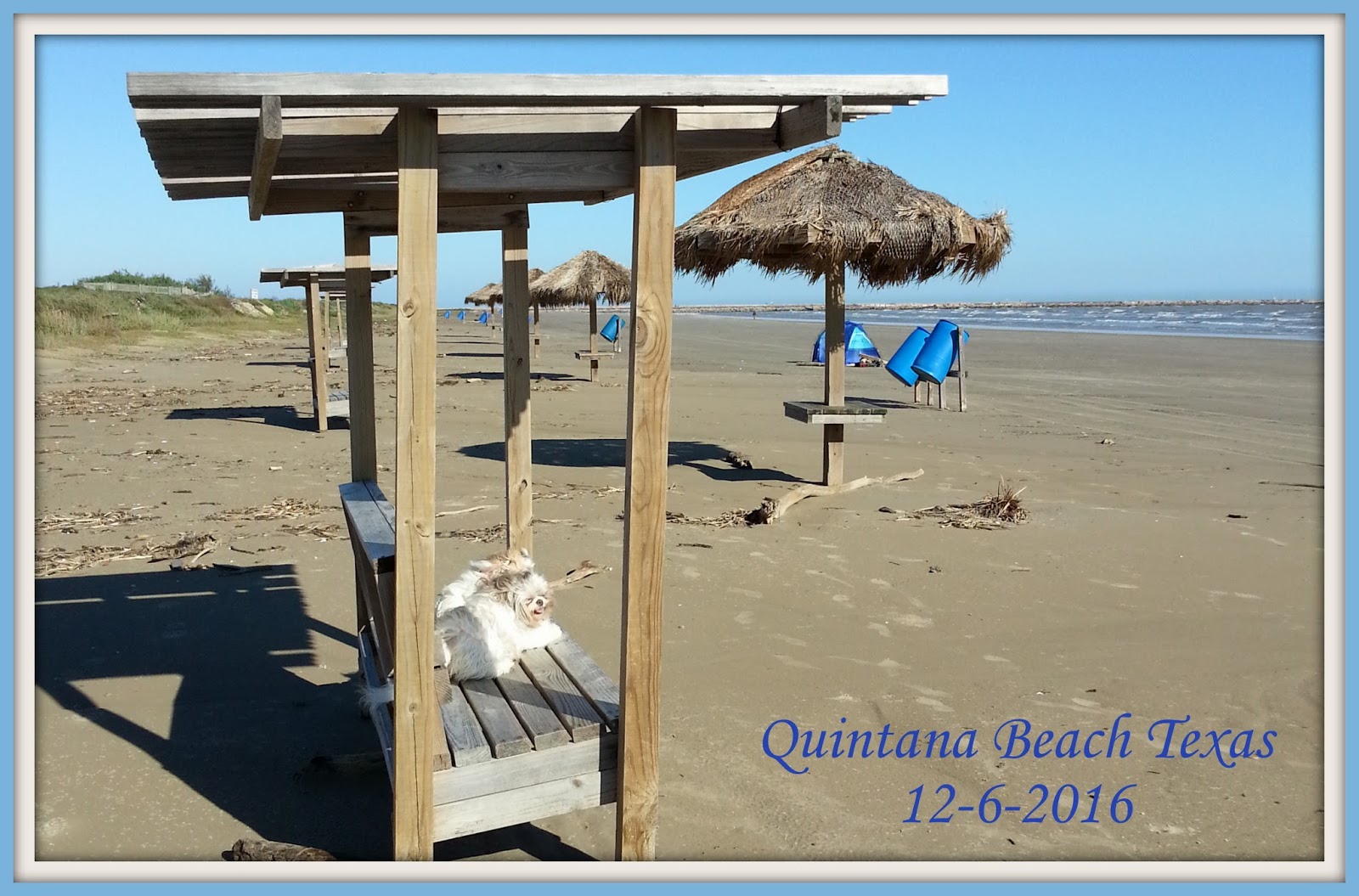 Momi YaYa's Cajun Pleasure QUINTANA BEACH PARK TEXAS